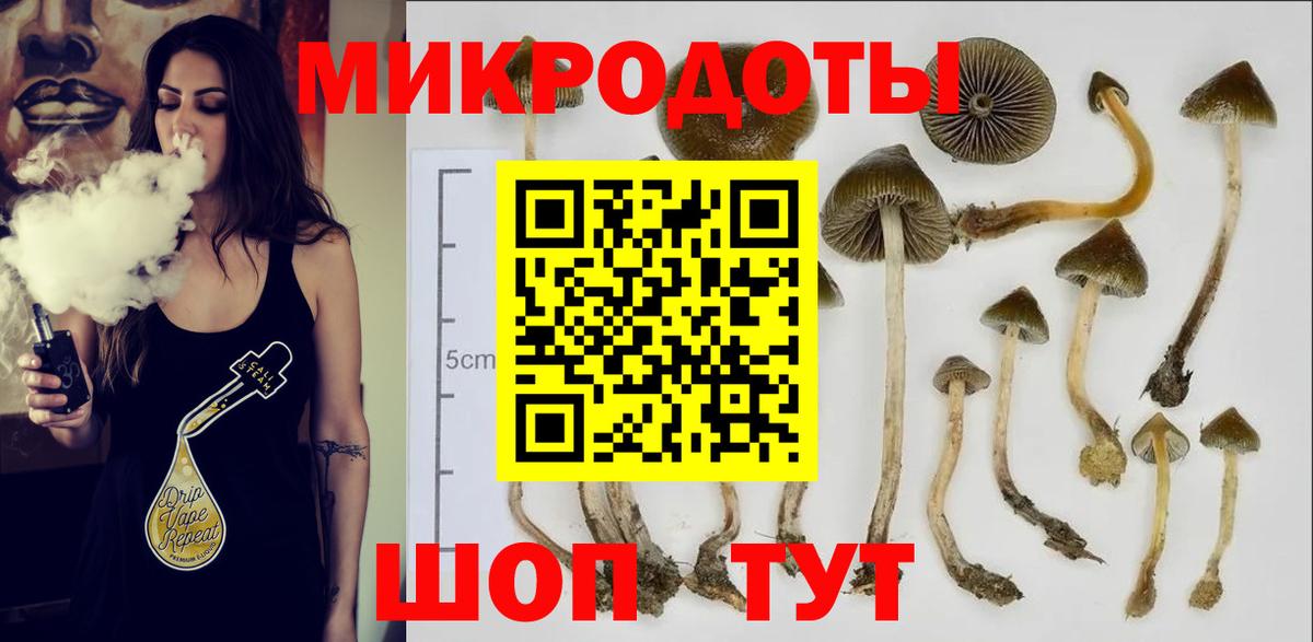 Псилоцибиновые грибы ЛСД Воткинск