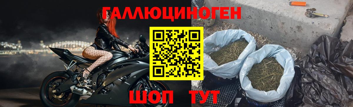 Галлюциногенные грибы Psilocybine cubensis  Псилоцибиновые грибы ЛСД  Вход с VPN  Воткинск 